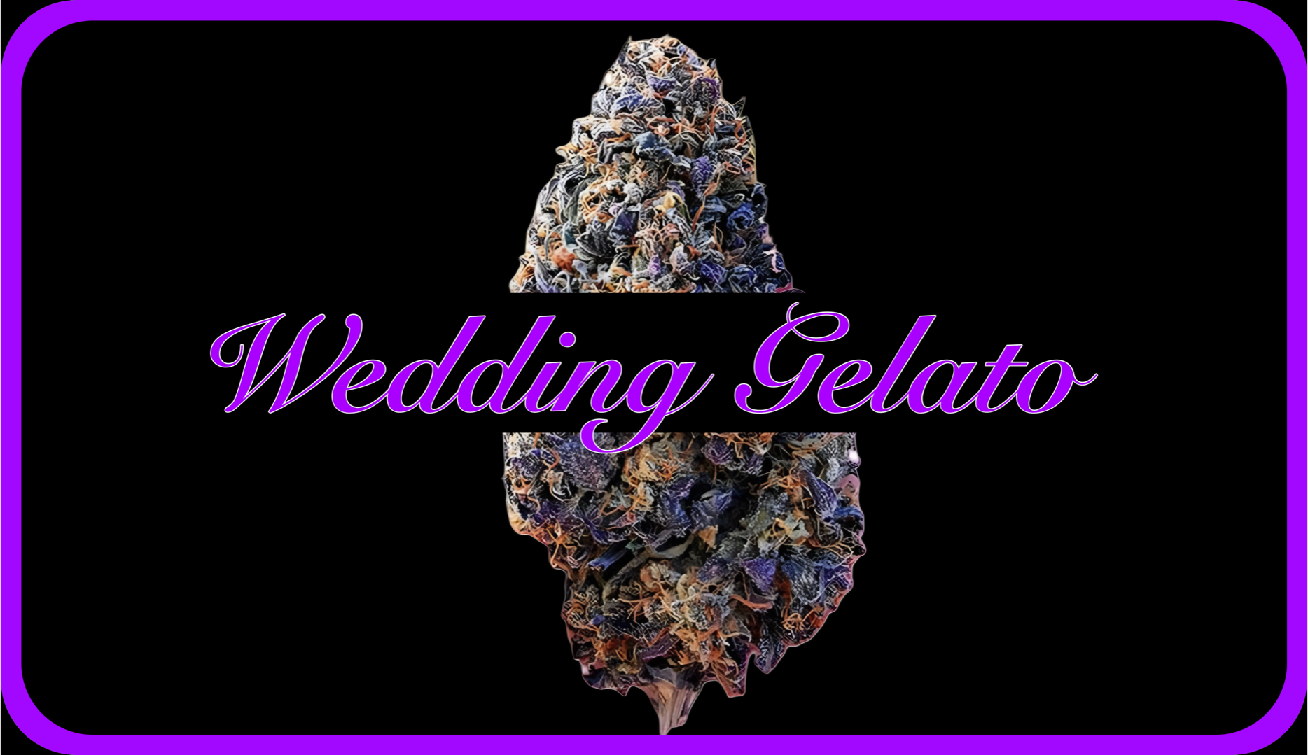 Maria und Johanna | Grow Blog | Hall Of Weed | Wedding Gelato