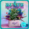 Weed Boutique | F1 Hybrid | Runtz | Cover
