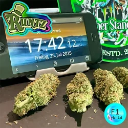 produkt f1 runtz 3