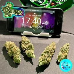 produkt f1 runtz 4