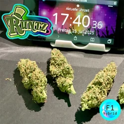 produkt f1 runtz 5