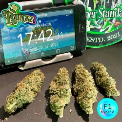 produkt f1 runtz 6