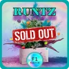 Cannabis Shop | Weed Boutique | F1 Hybrid | Runtz | Cover