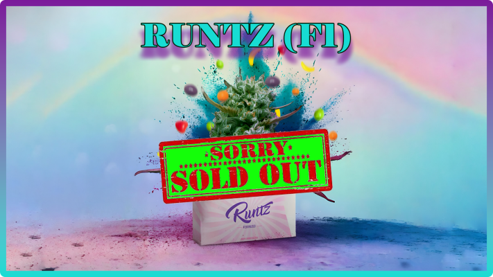 Weed Boutique | Blog | Aktuell | Runtz | Sold Out