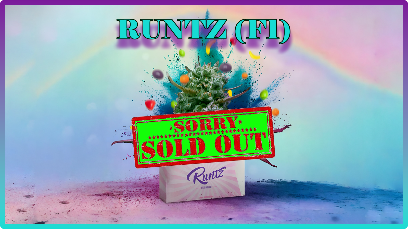 Weed Boutique | Blog | Aktuell | Runtz | Sold Out