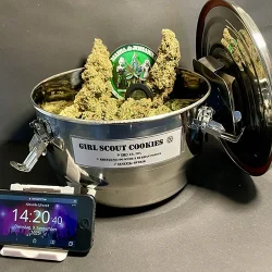Alternative view of Girl Scout Cookies