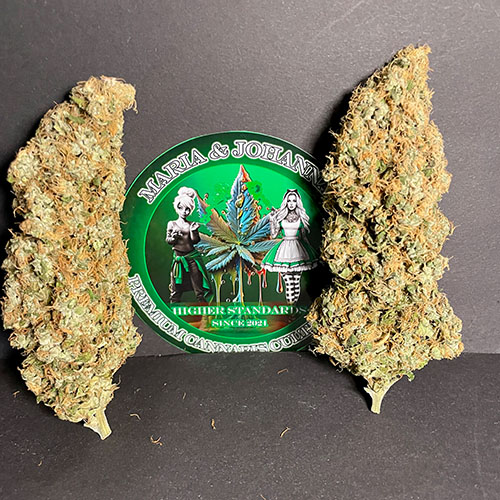 #21 Girl Scout Cookies (GSC) – Bild 5