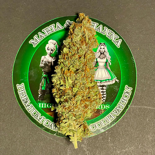 #21 Girl Scout Cookies (GSC) – Bild 6