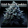 Weed Boutique | Girl Scout Cookies | Cover
