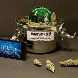 Alternative view of Milky Way (F1 Hybrid)