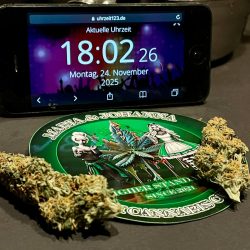 Cannabis Shop | Weed Boutique | Milky Way | Produktfoto 2