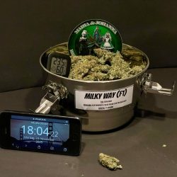 Cannabis Shop | Weed Boutique | Milky Way | Produktfoto 3