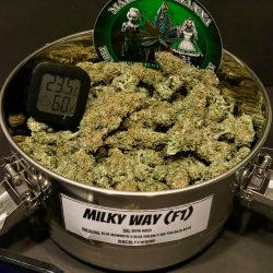 Cannabis Shop | Weed Boutique | Milky Way | Produktfoto 1