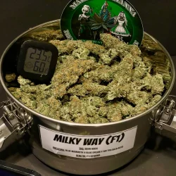 milky way 06