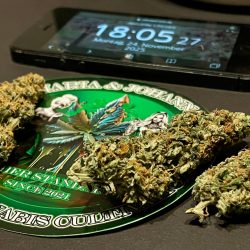 Cannabis Shop | Weed Boutique | Milky Way | Produktfoto 4