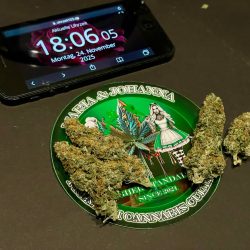 Cannabis Shop | Weed Boutique | Milky Way | Produktfoto 5