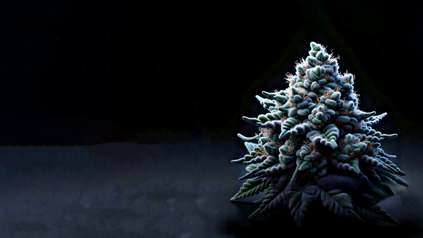 Weed Boutique | Home | Slider | Girl Scout Cookies