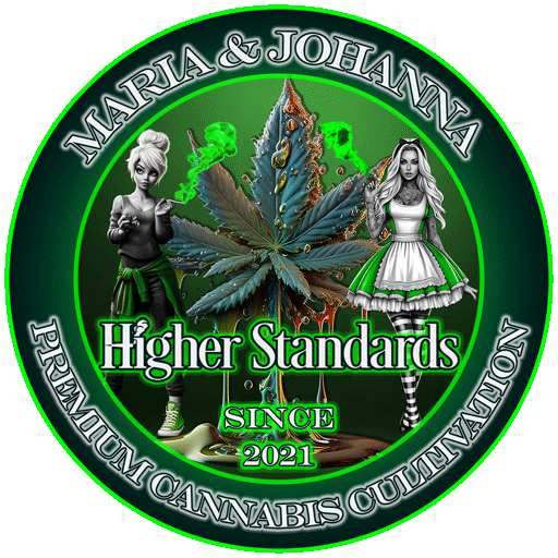 Cannabis Shop | Weed Boutique | Maria & Johanna | Icon