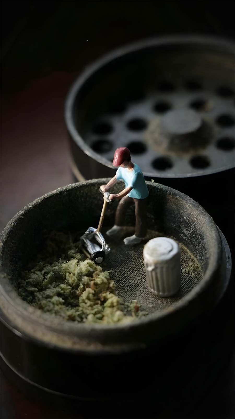 hp newsletter subscribe