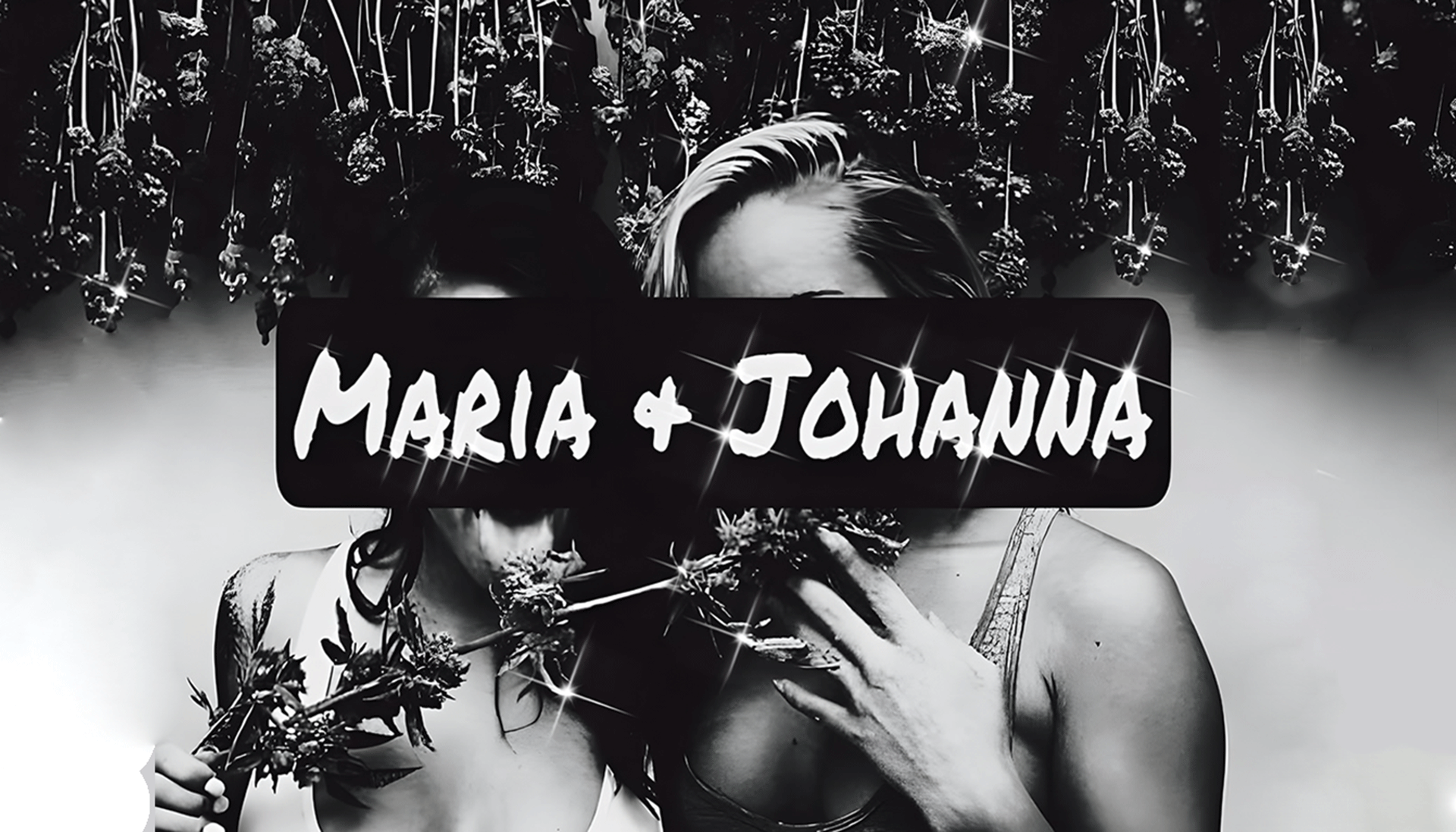 Weed Boutique | Ueber Uns | Header