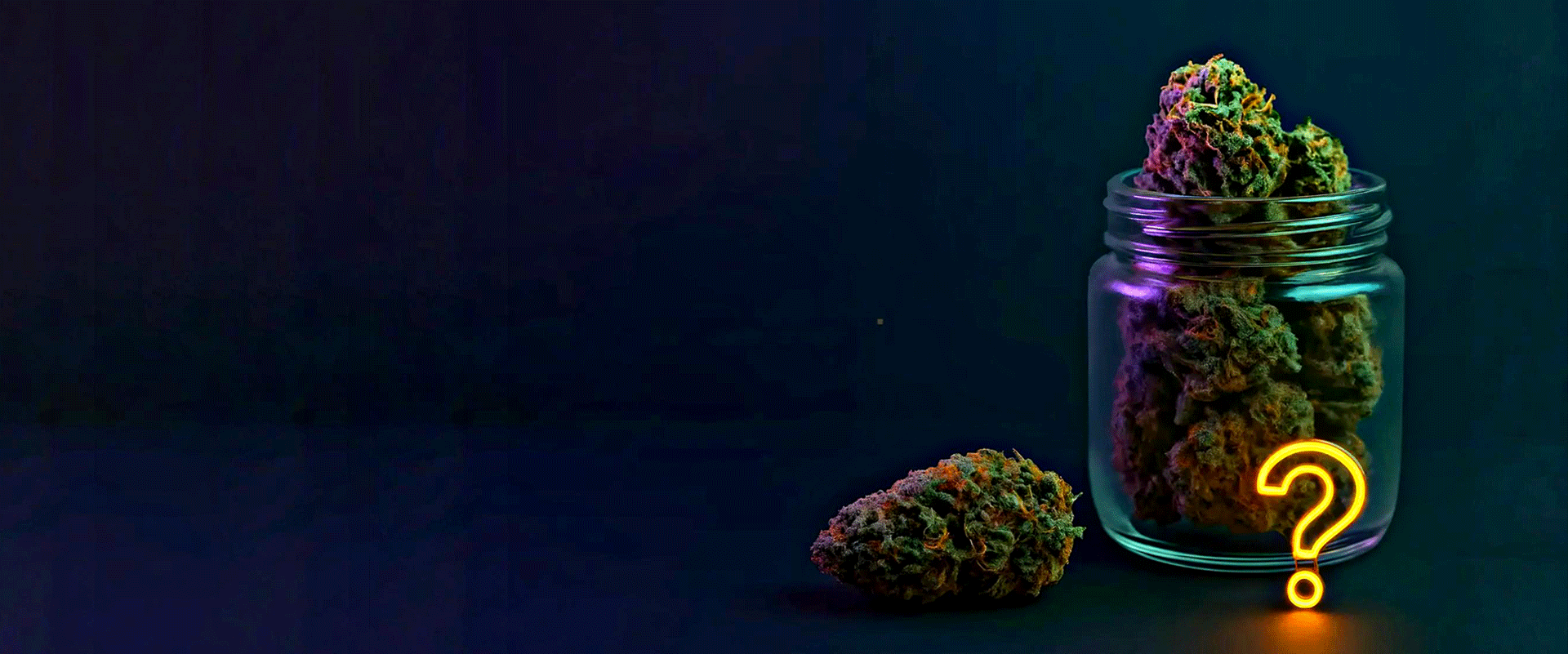 Weed Boutique FAQ | Page Header