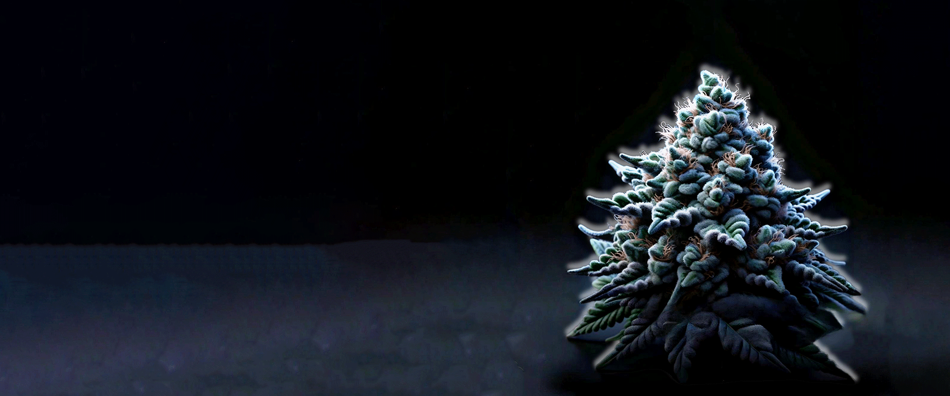 Weed Boutique | Home | Slider | Girl Scout Cookies