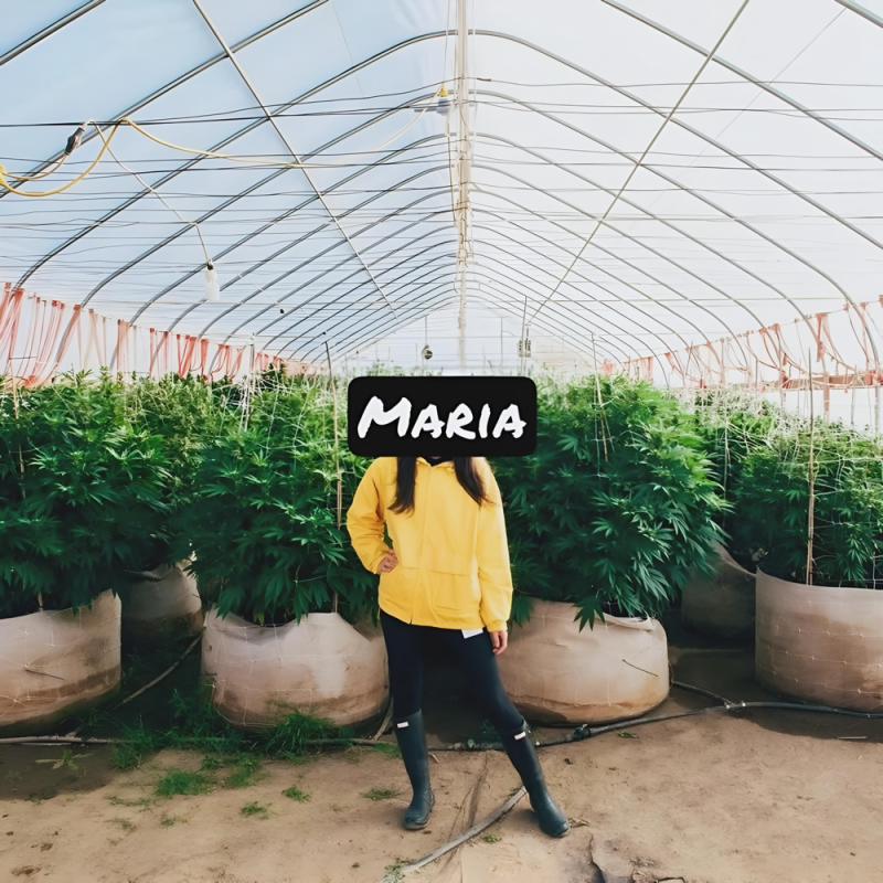 Maria und Johanna | Maria