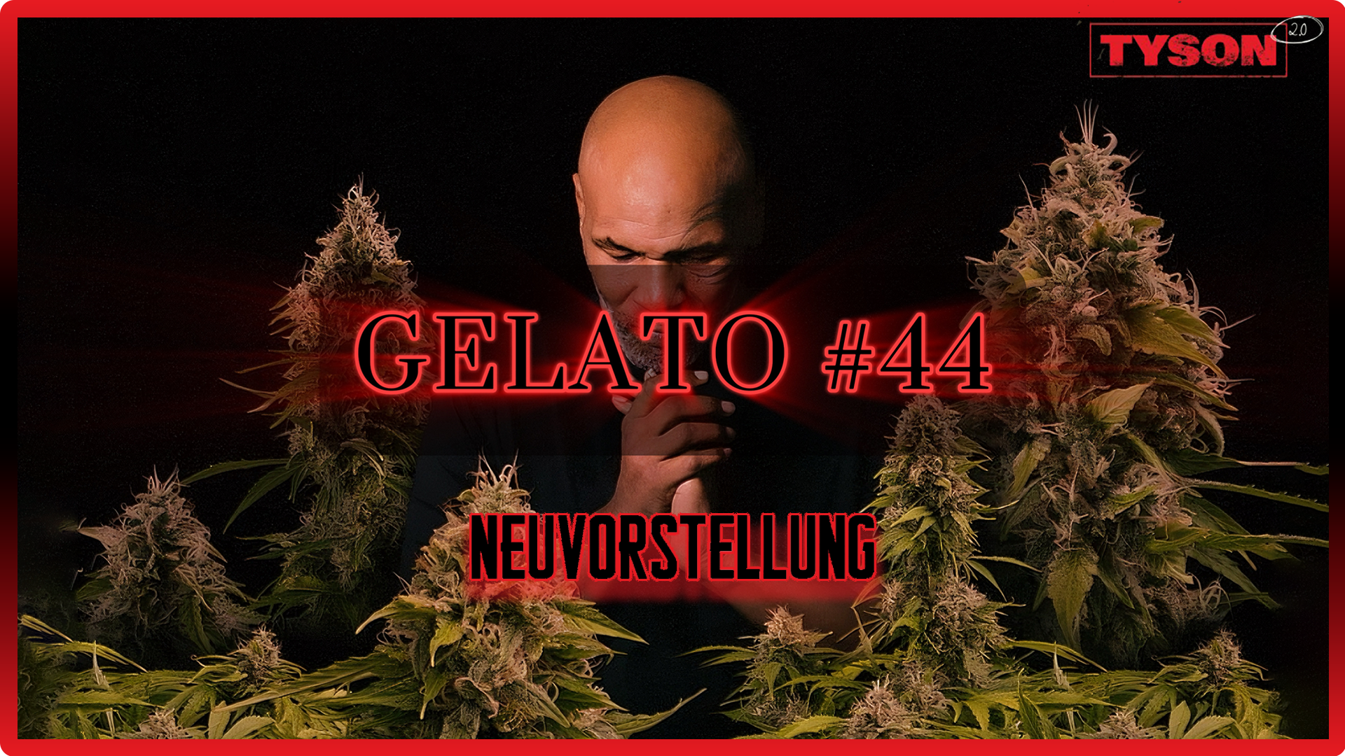 Gelato #44 | Neuvorstellung | Grow Blog | Maria und Johanna