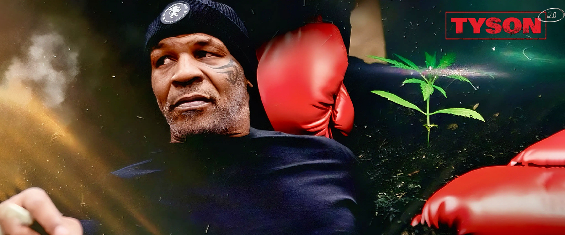 Weed Boutique | Home | Slider | Gelato #44