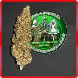 Weed Boutique | Produkt | Gelato #44 | Cover