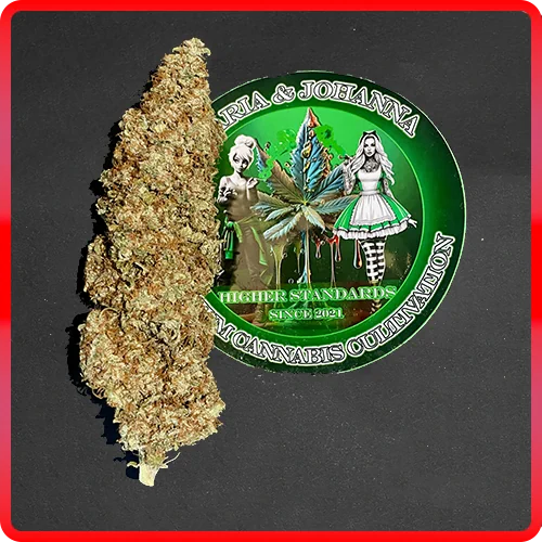 Weed Boutique | Produkt | Gelato #44 | Cover