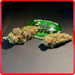 Alternative view of Gelato #44