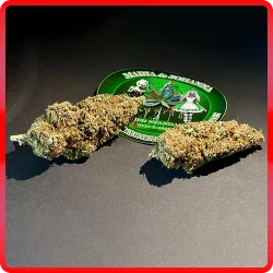 Alternative view of Gelato #44