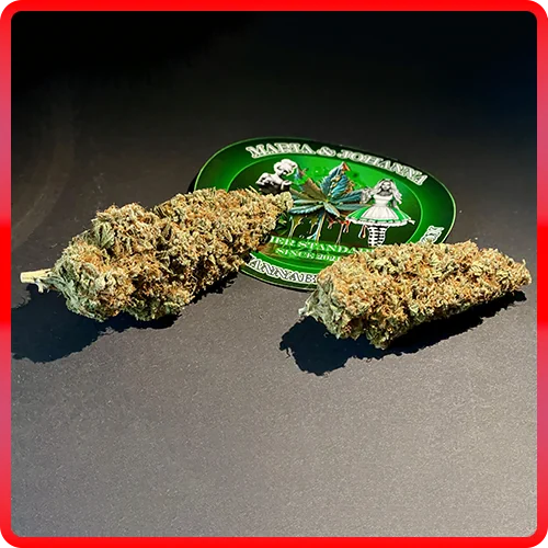 Gelato #44 – Bild 2