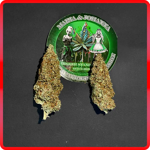 Gelato #44 – Bild 3