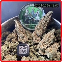 Weed Boutique | Produkt | Gelato #44 | Galeriefoto 04