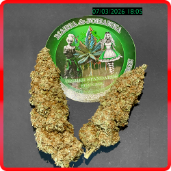 Weed Boutique | Produkt | Gelato #44 | Galeriefoto 05