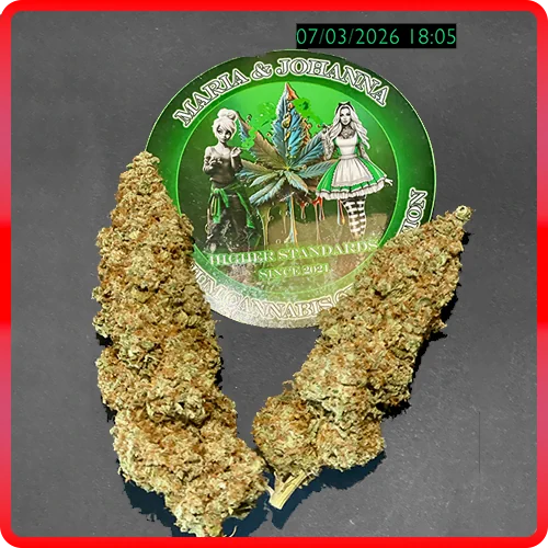 Gelato #44 – Bild 5