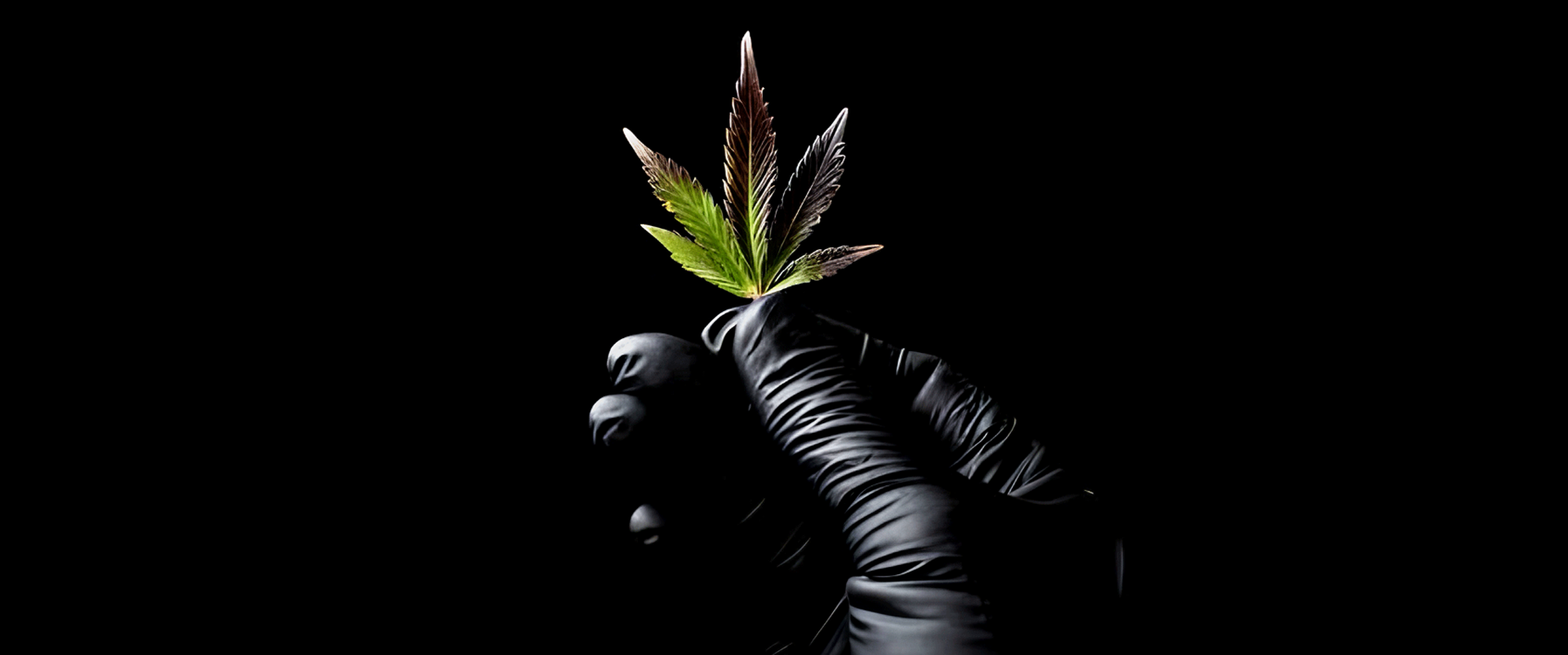 Maria und Johanna | Über uns | Grow Philosophie