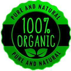 hp home icon organic