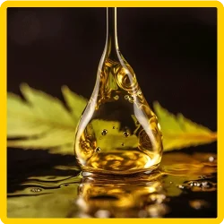 THC Extrakte