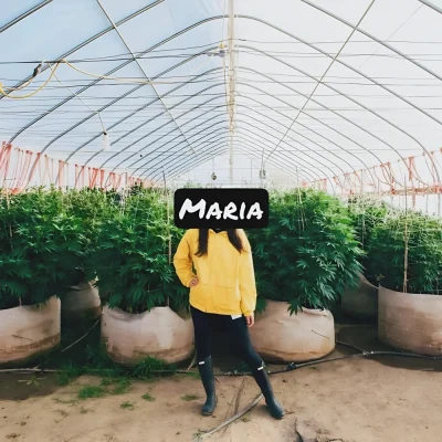 maria2